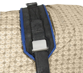 Security Strap